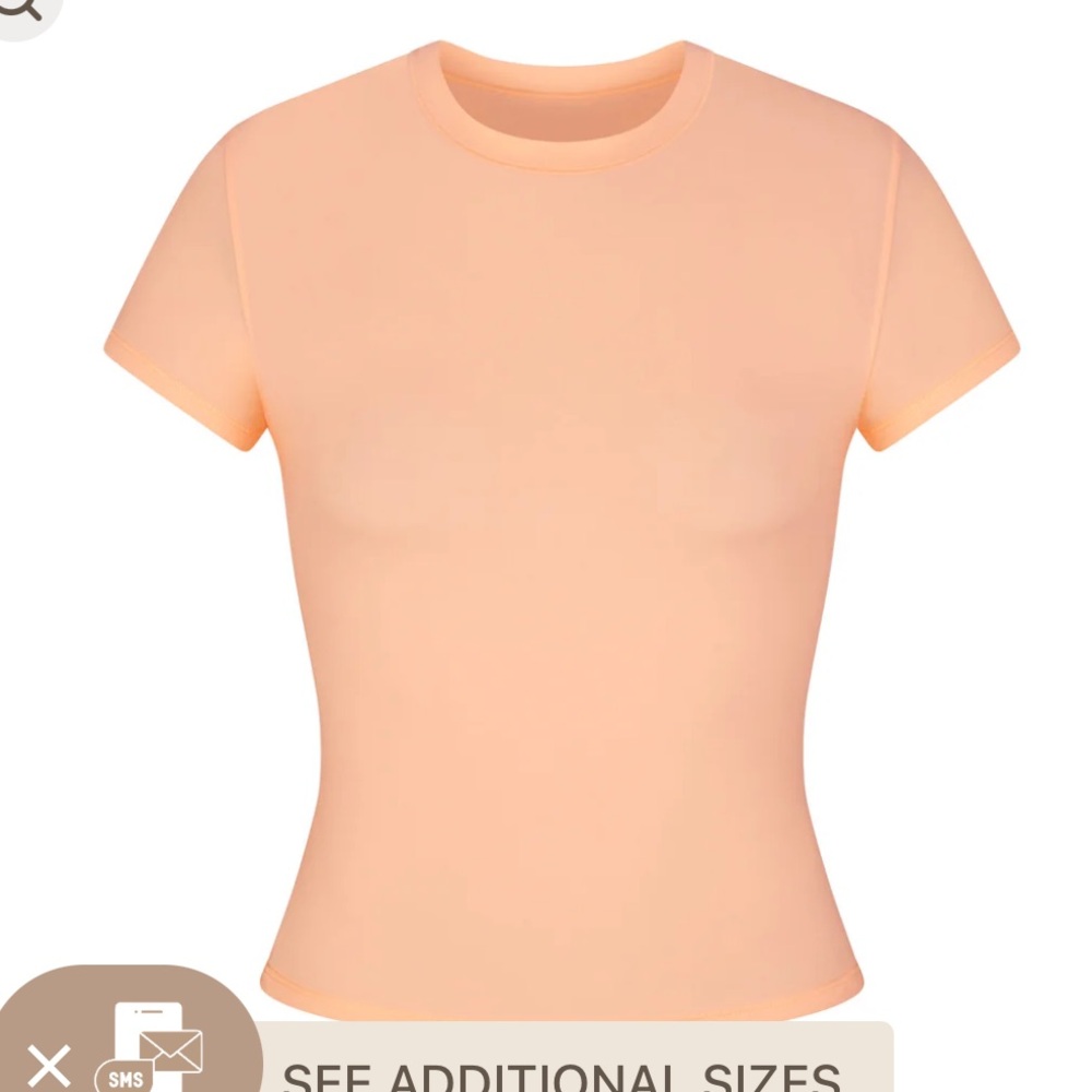 COPY - NWT SKIMS Fits Everybody Tee Shirt in Faded Nectar
